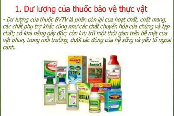 Dư lượng thuốc bảo vệ thực vật